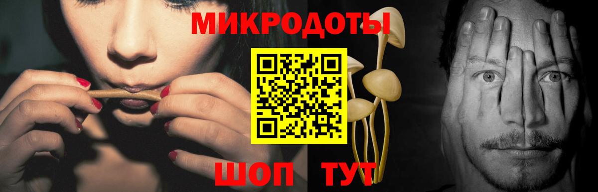 Псилоцибиновые грибы Psilocybine cubensis Владимир
