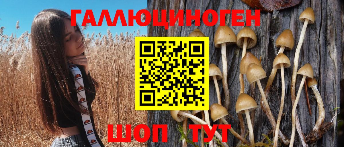 Псилоцибиновые грибы Psilocybine cubensis  Вход с VPN  Псилоцибиновые грибы мухоморы  Владимир 