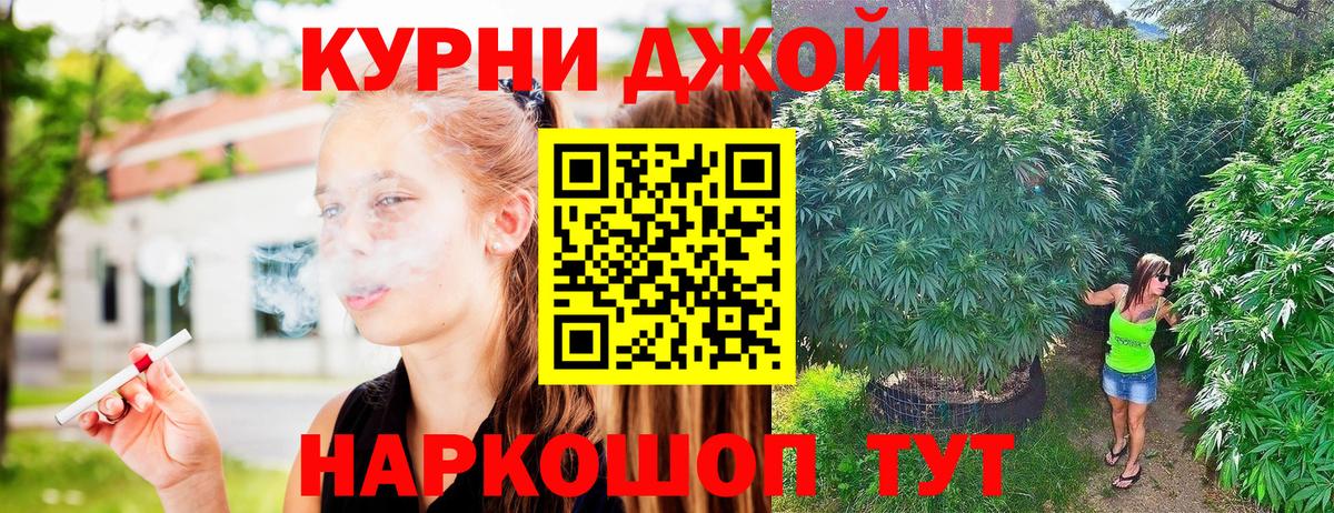 Шишки марихуана сатива  Шишки марихуана марихуана  Вход с VPN  Владимир  Бошки Шишки Ganja  Канабис MAZAR 